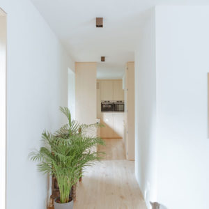 Casa-P+B-gatto